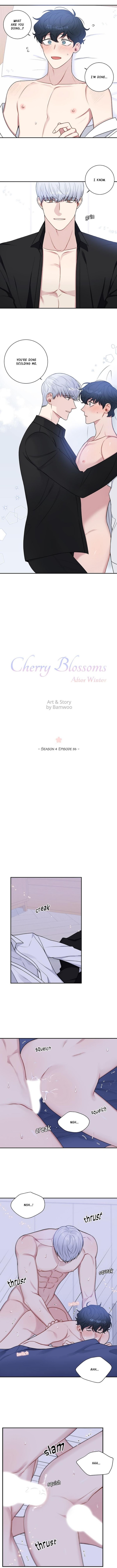 Cherry Blossoms After Winter Chapter 126 42 5