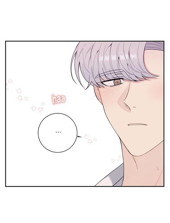 Cherry Blossoms After Winter Chapter 130 334 75