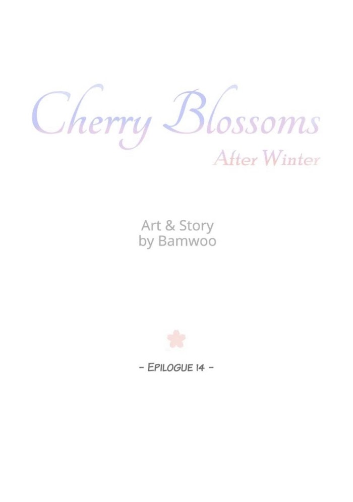 Cherry Blossoms After Winter Chapter 141 237 14