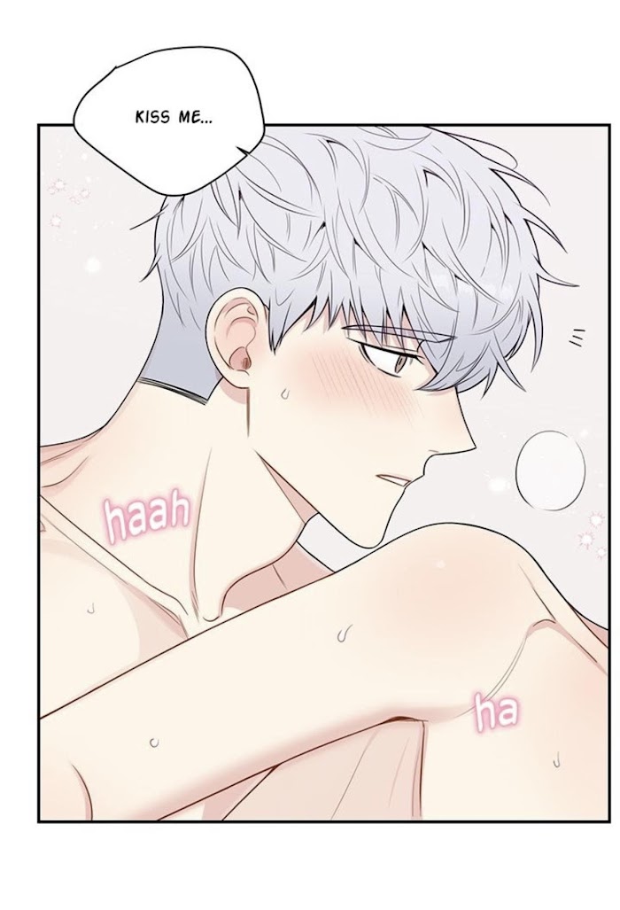 Cherry Blossoms After Winter Chapter 144 245 7