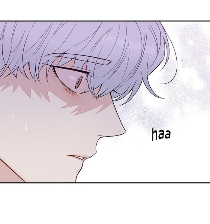 Cherry Blossoms After Winter Chapter 146 326 52