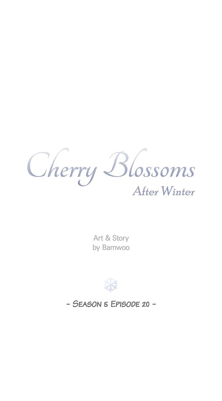 Cherry Blossoms After Winter Chapter 166 151 013