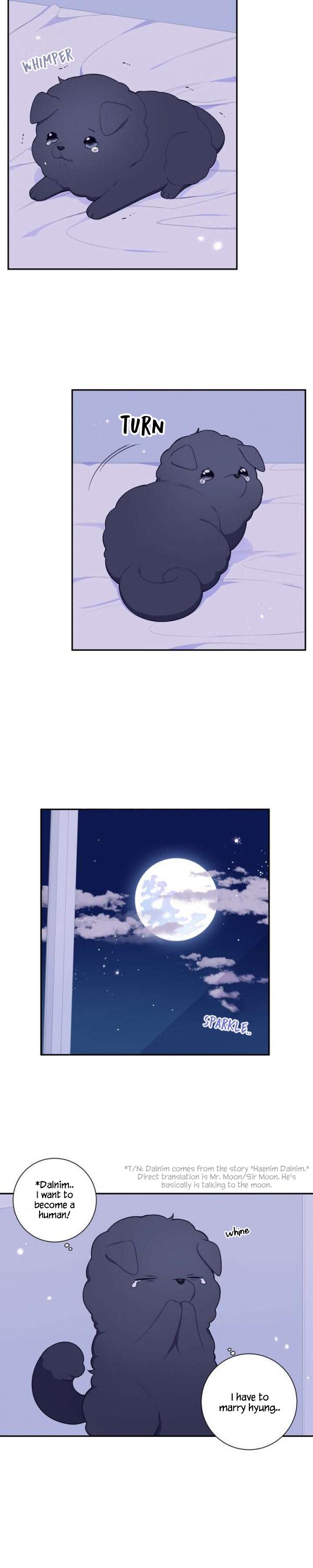 Cherry Blossoms After Winter Chapter 168.05 80 014