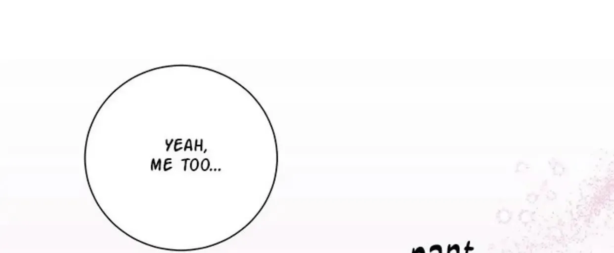 fc79b79655de