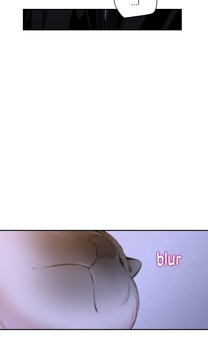 f9a5fc9a59af