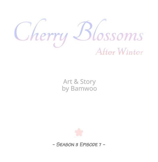 Cherry Blossoms After Winter Chapter 69 251 4