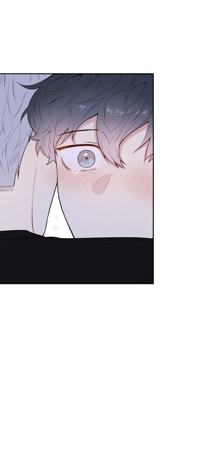 Cherry Blossoms After Winter Chapter 85 152 31