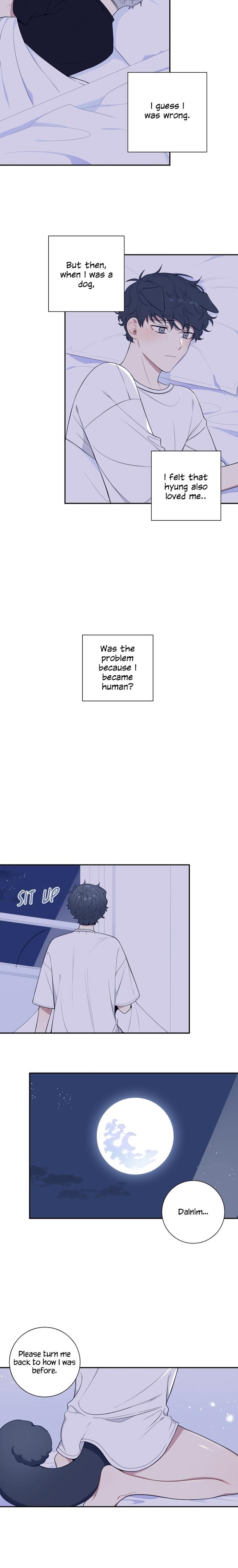 Cherry Blossoms After Winter Chapter 90.3 85 18