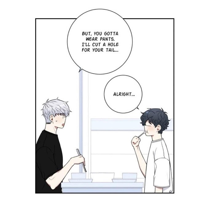 Cherry Blossoms After Winter Chapter 90.4 240 14