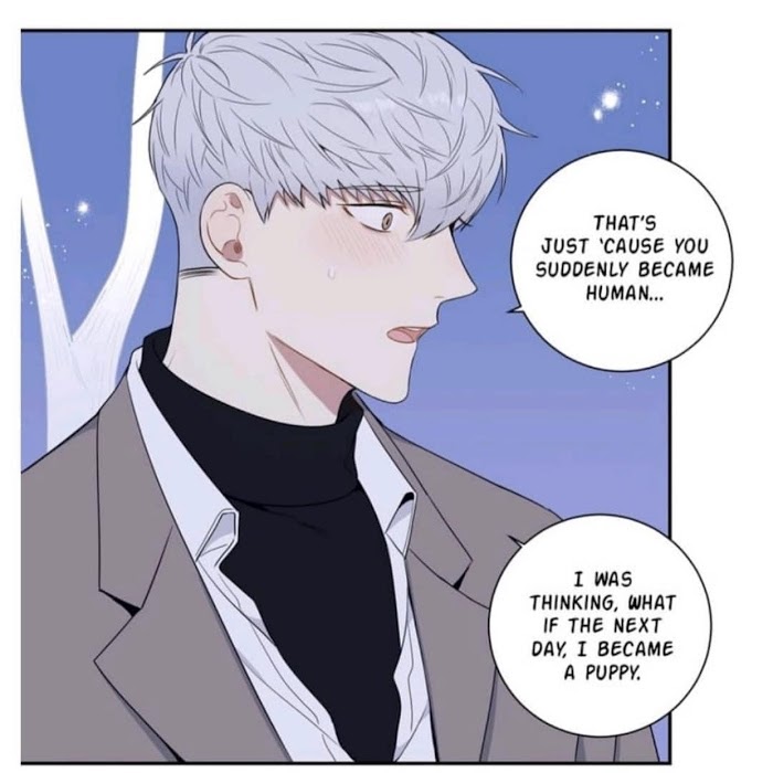 Cherry Blossoms After Winter Chapter 90.4 251 25