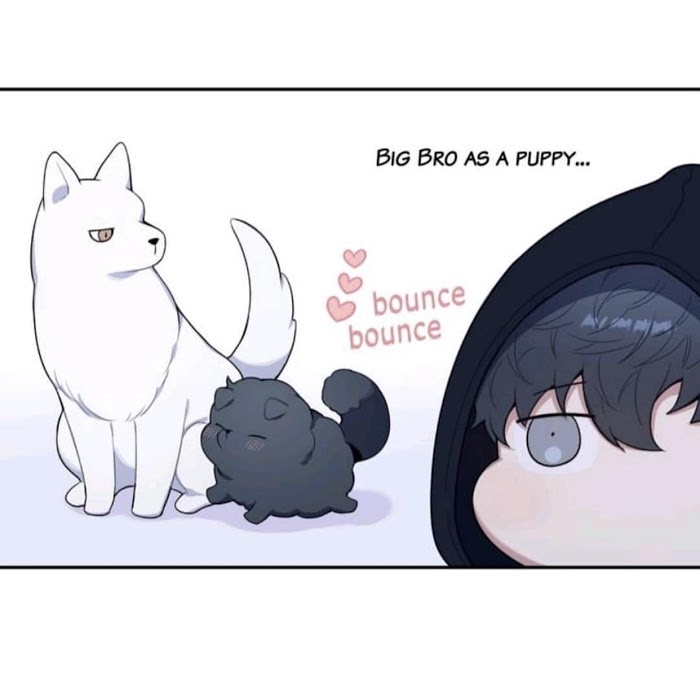 Cherry Blossoms After Winter Chapter 90.4 252 26