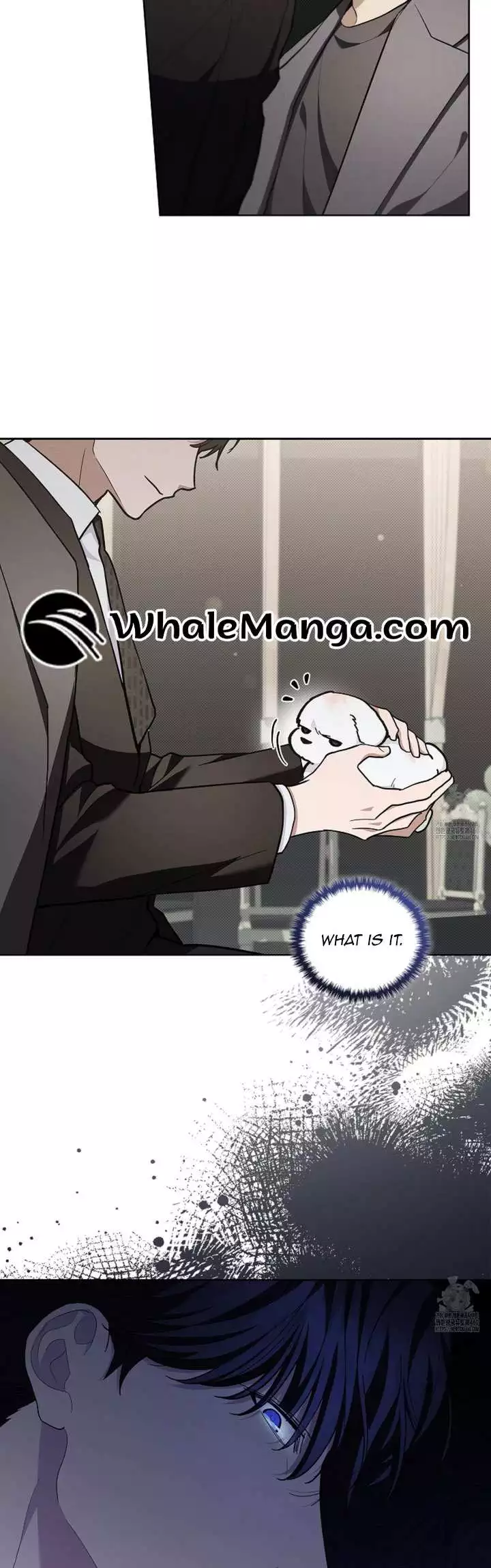 Don’t Mess With The Puppy! Chapter 11 162 20