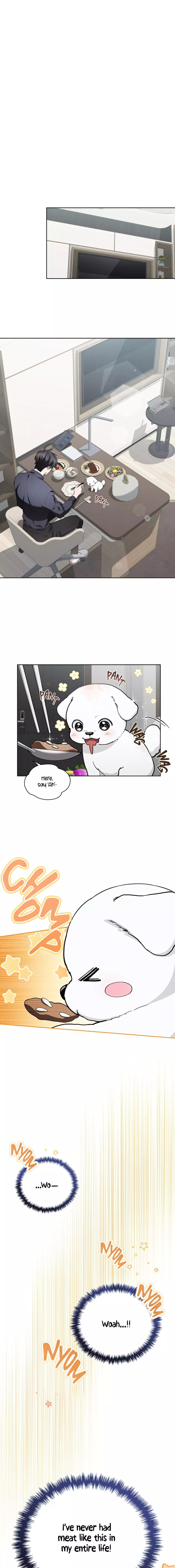 Don’t Mess With The Puppy! Chapter 12 79 12