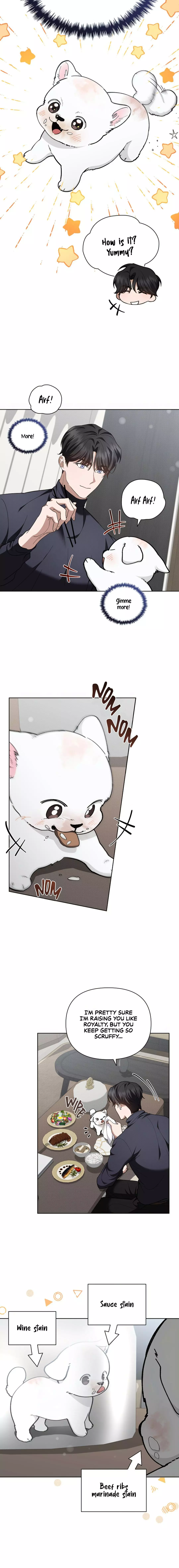 Don’t Mess With The Puppy! Chapter 12 80 13