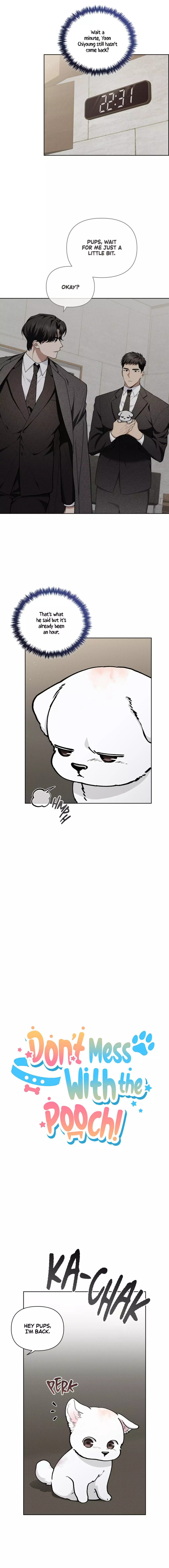 Don’t Mess With The Puppy! Chapter 12 71 4