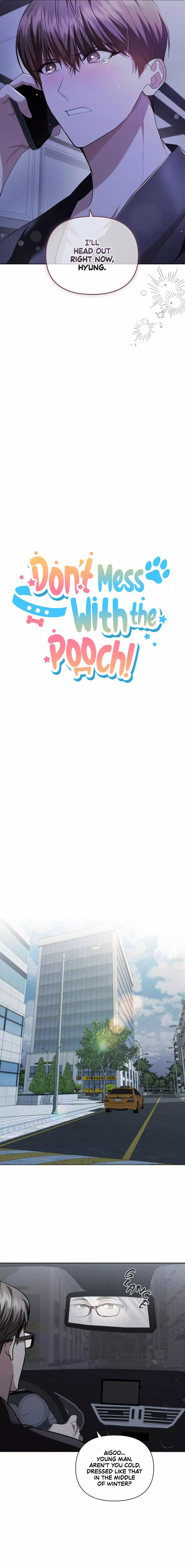 Don’t Mess With The Puppy! Chapter 14 76 6