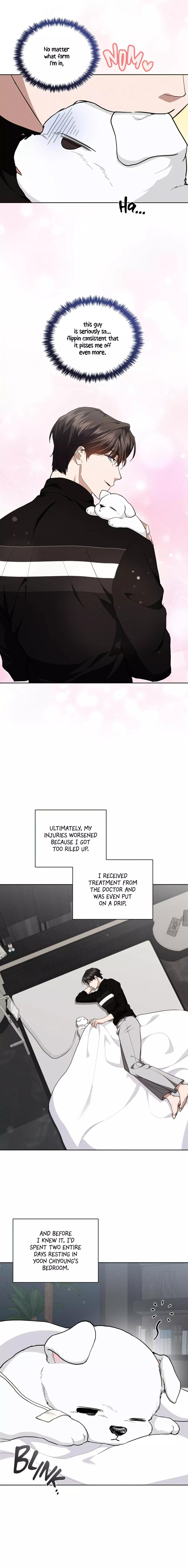 Don’t Mess With The Puppy! Chapter 17 78 11