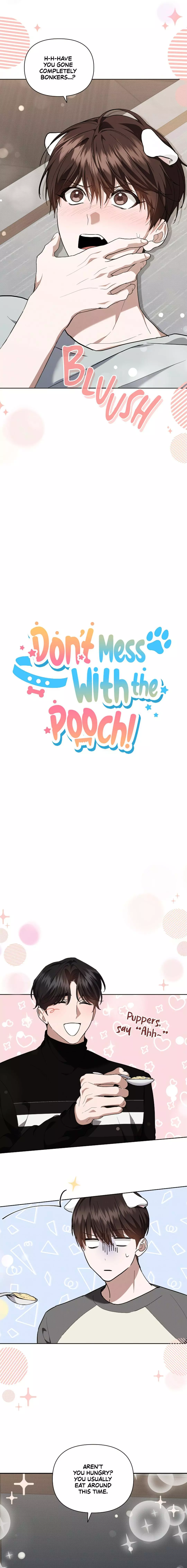 Don’t Mess With The Puppy! Chapter 17 71 4