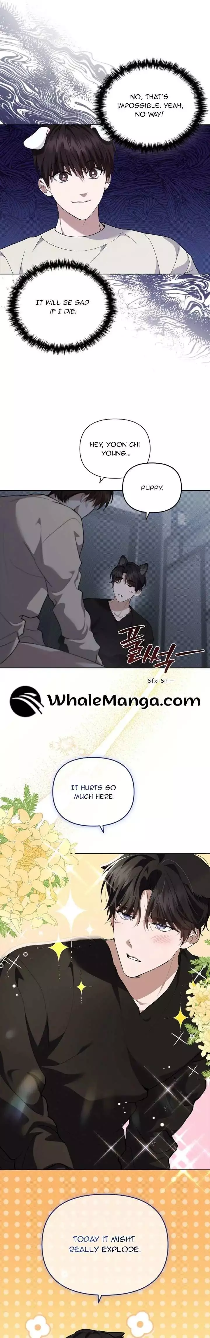 Don’t Mess With The Puppy! Chapter 25 81 8