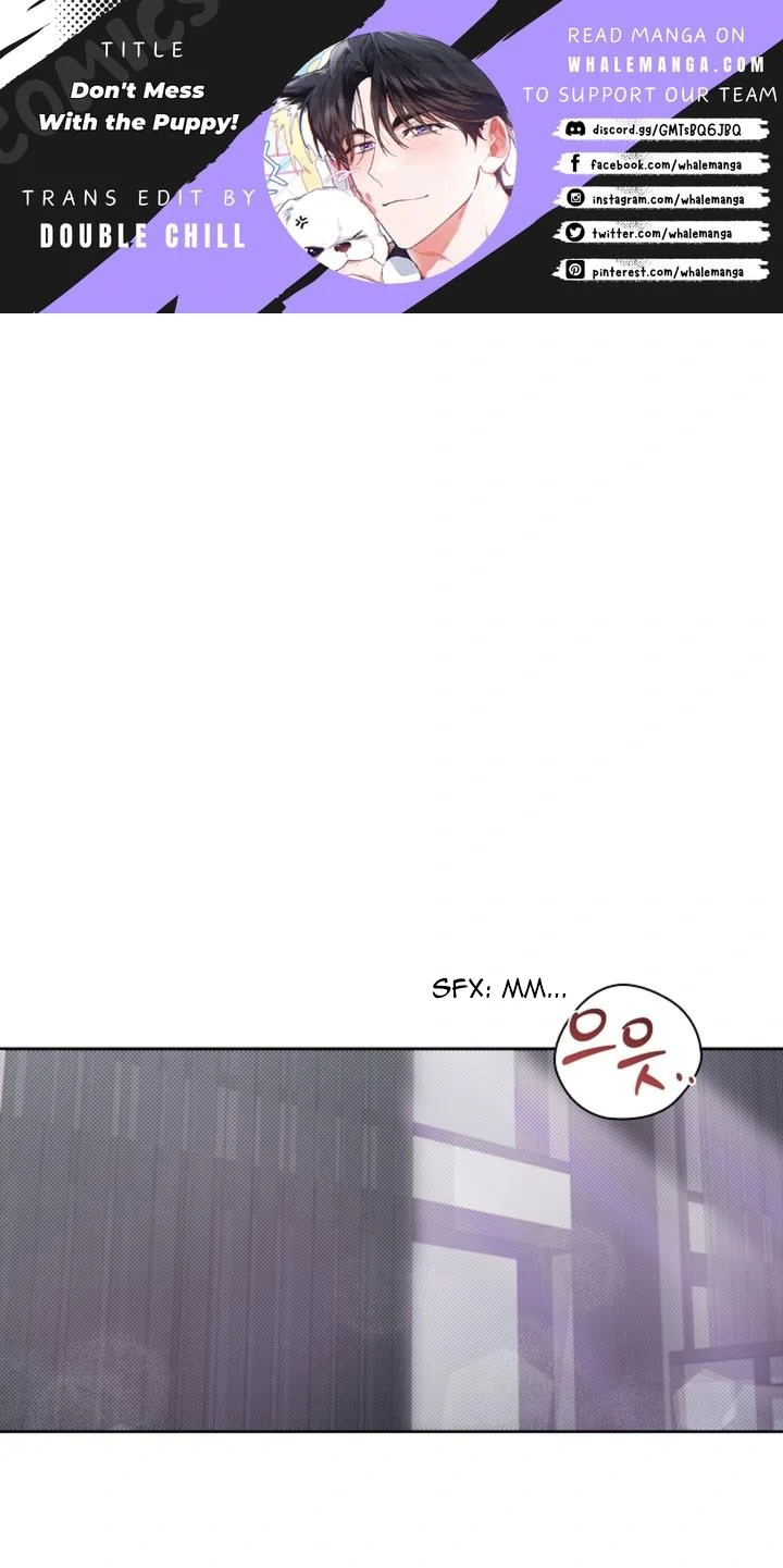 Don’t Mess With The Puppy! Chapter 26 209 1