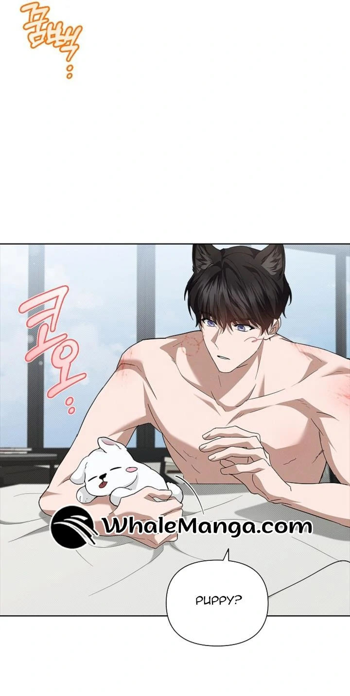 Don’t Mess With The Puppy! Chapter 26 269 61
