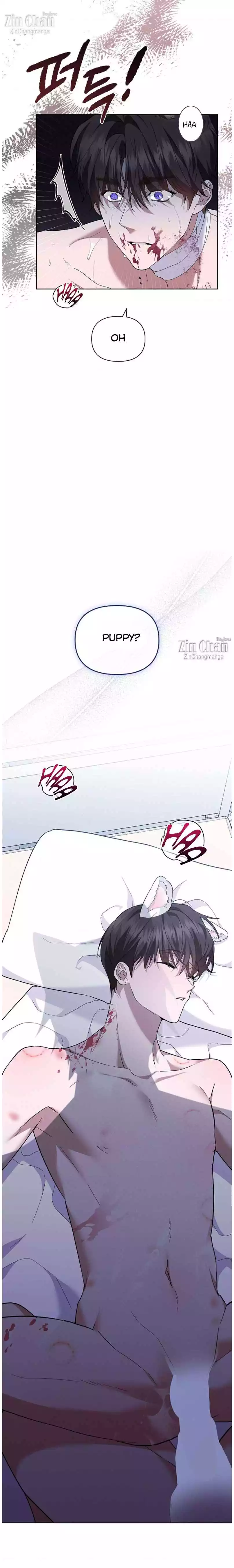 Don’t Mess With The Puppy! Chapter 42 117 26