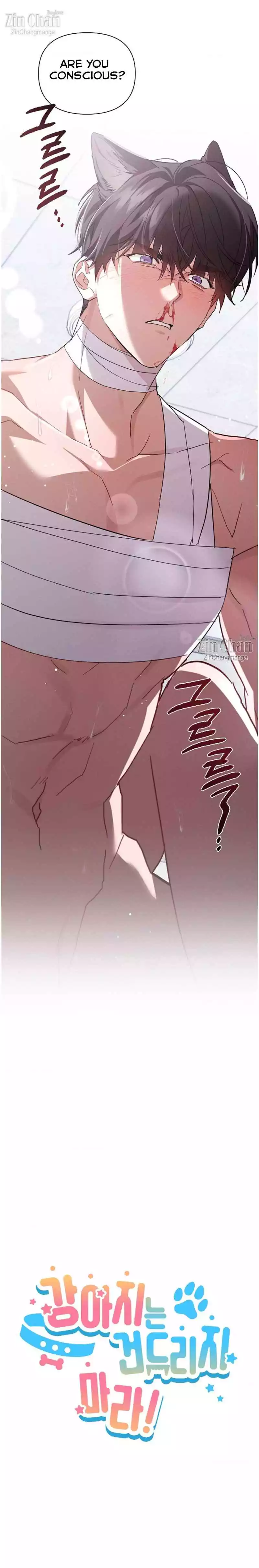 Don’t Mess With The Puppy! Chapter 42 96 5