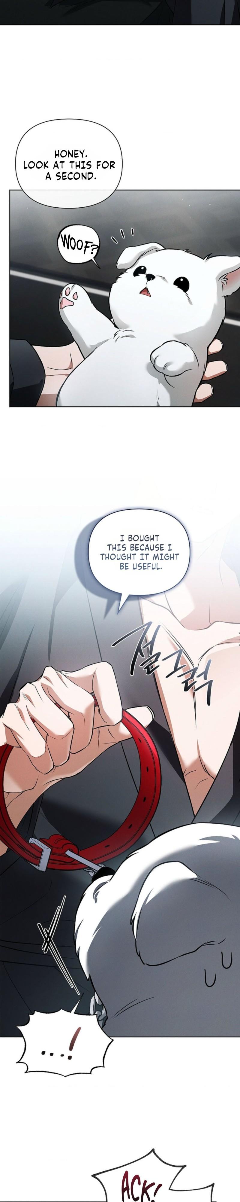 Don’t Mess With The Puppy! Chapter 60 104 017