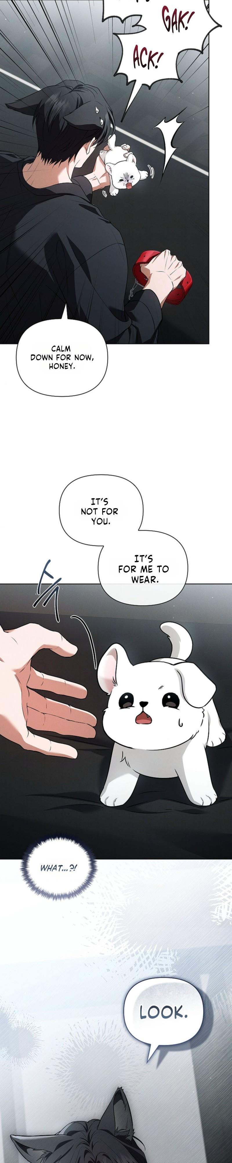 Don’t Mess With The Puppy! Chapter 60 105 018
