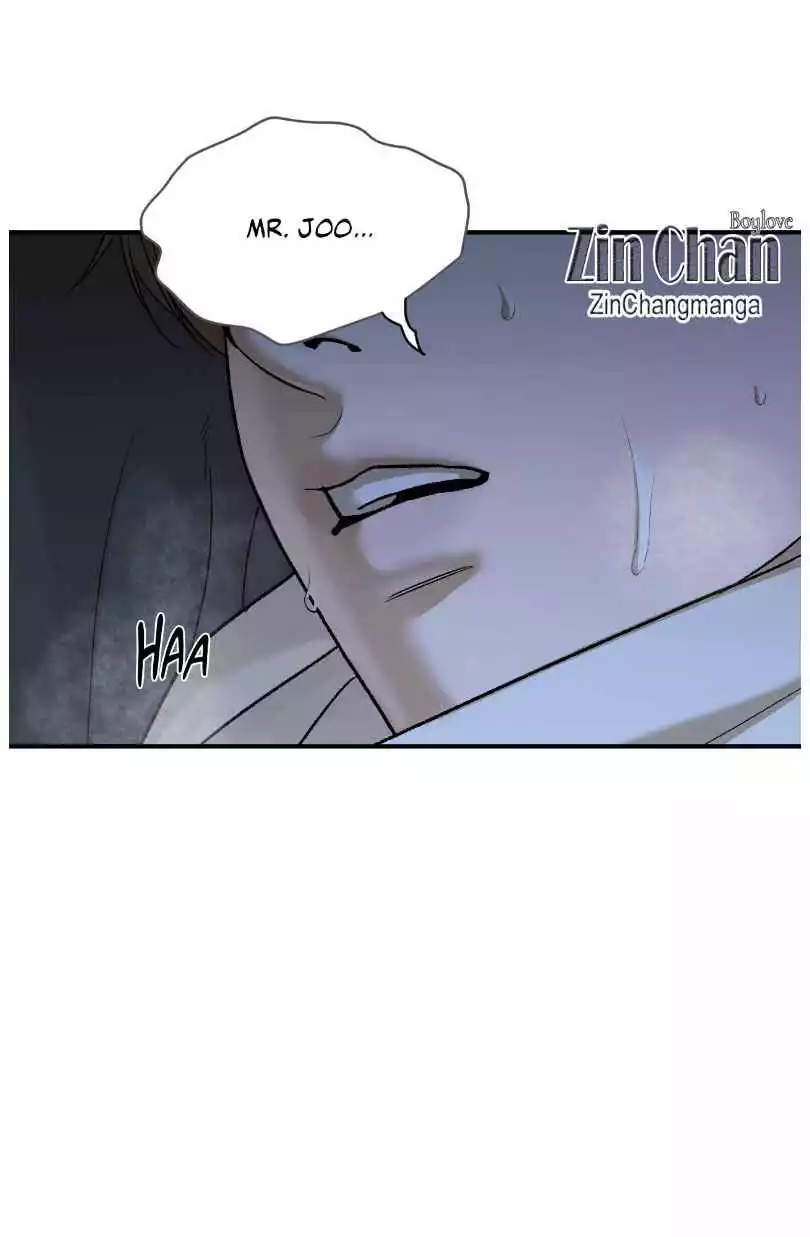 80