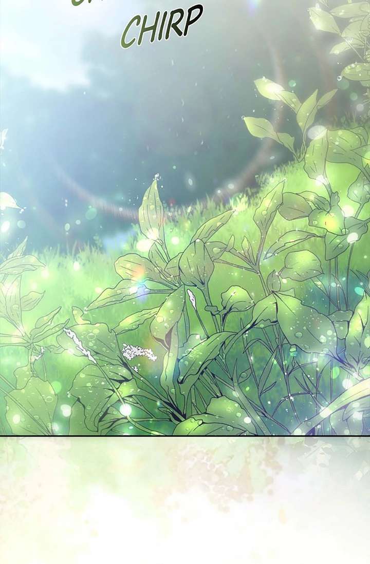 ch 64 19