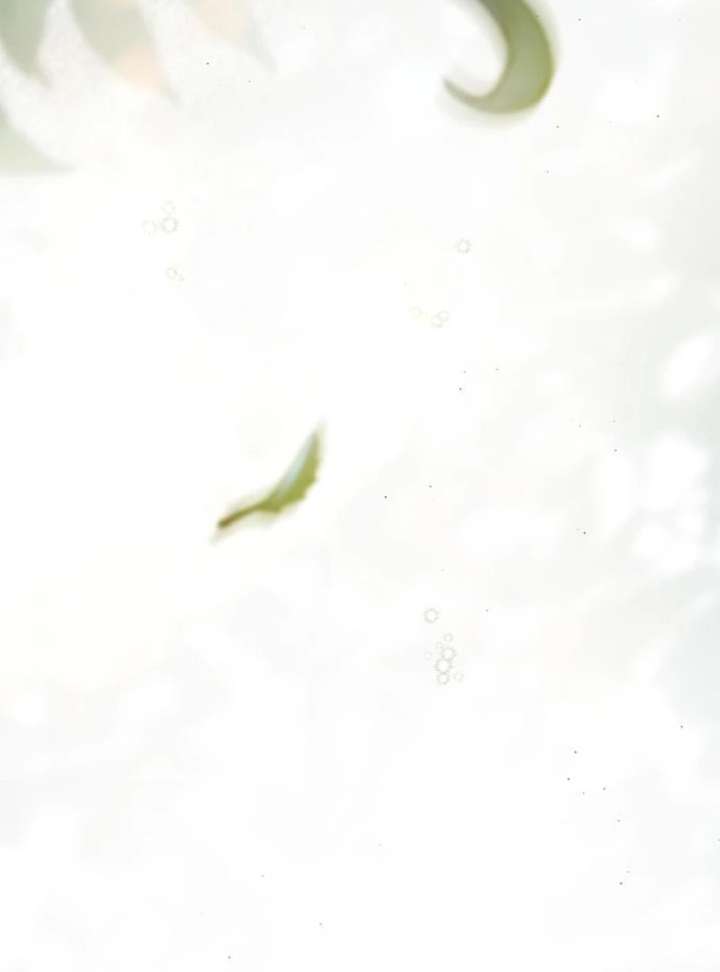 116
