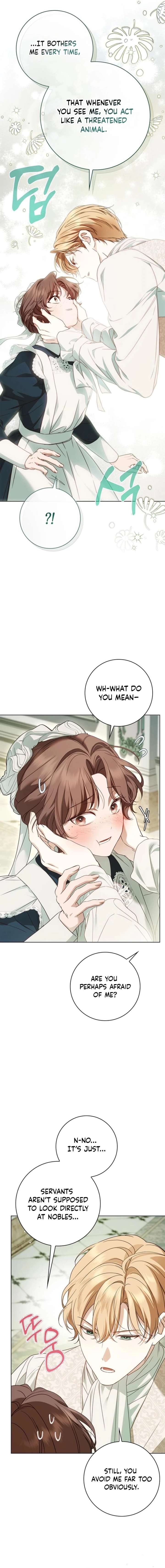 The Count’s Secret Maid Chapter 81 71 ch 81 5