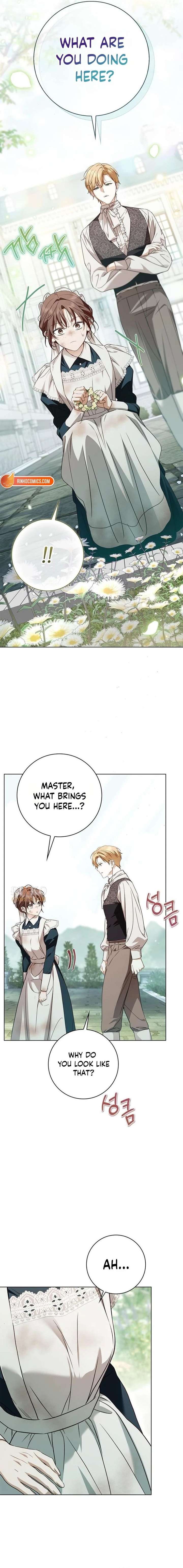 The Count’s Secret Maid Chapter 88 62 ch 88 5