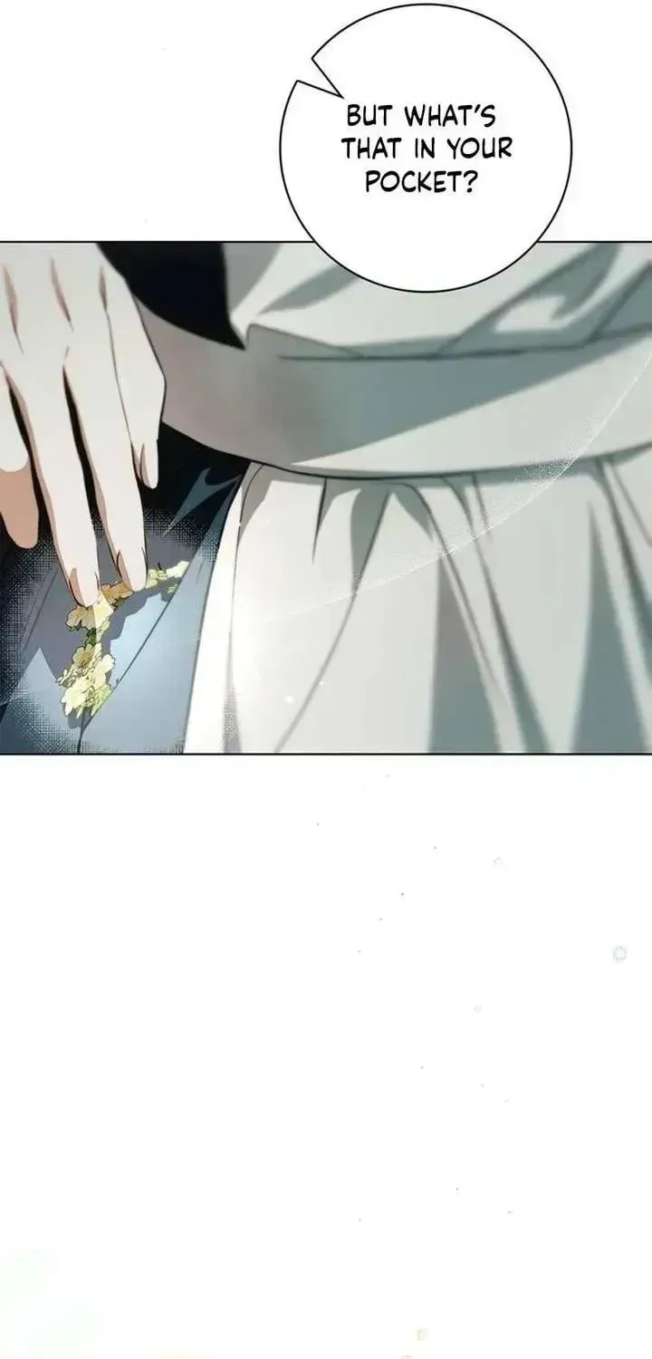 fe3e5d0d5a55