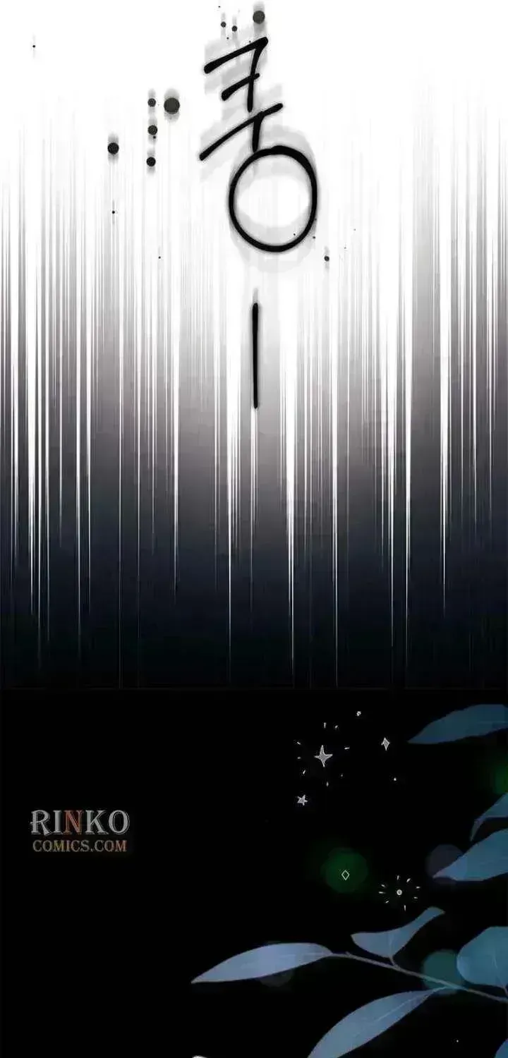 The Count’s Secret Maid Chapter 96.1 354 c27c2caae223