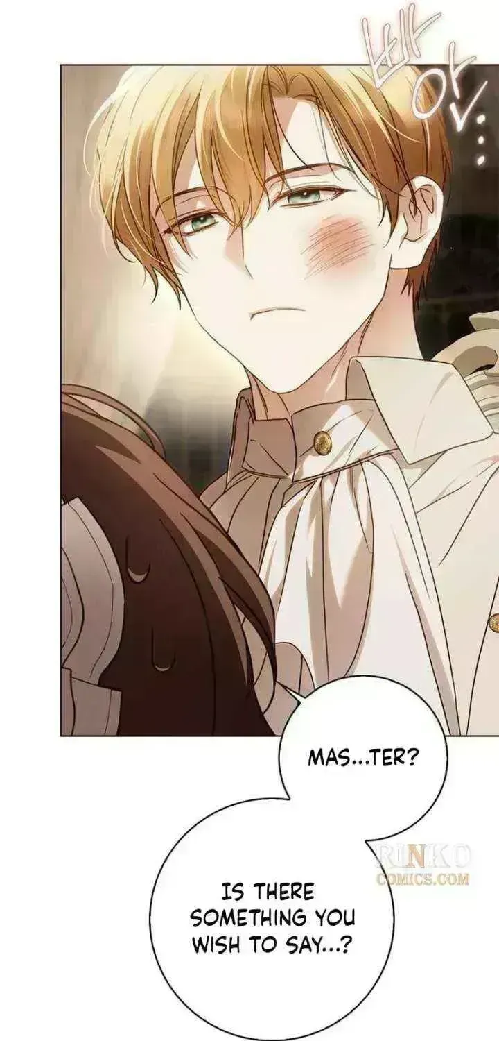 The Count’s Secret Maid Chapter 96.5 389 2c91f767a07b