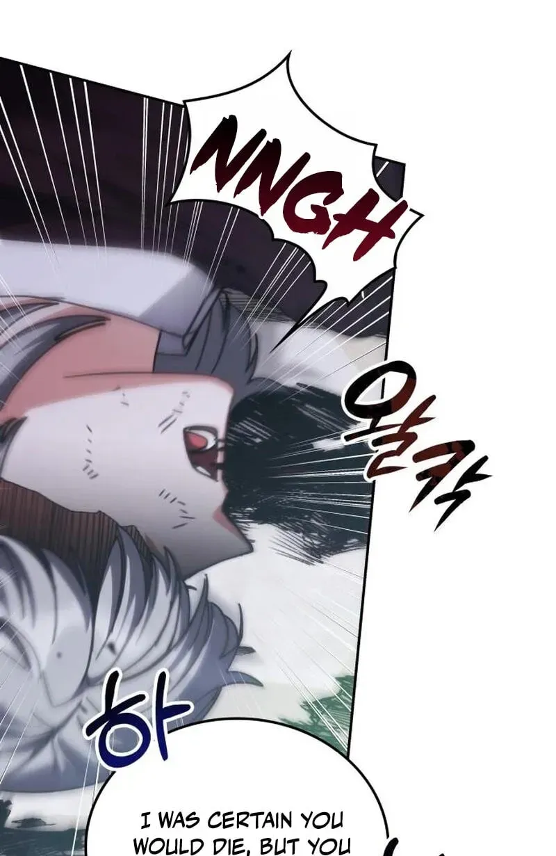 8e15599c402e 20 webp