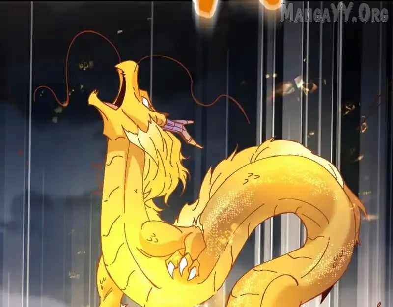 151