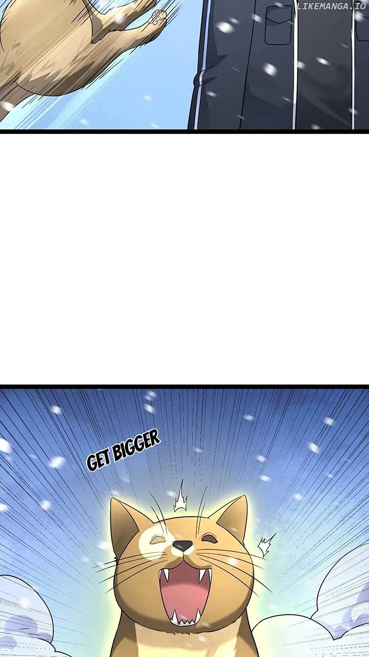 Global Freeze: I Created An Apocalypse Shelter Chapter 565 99 14