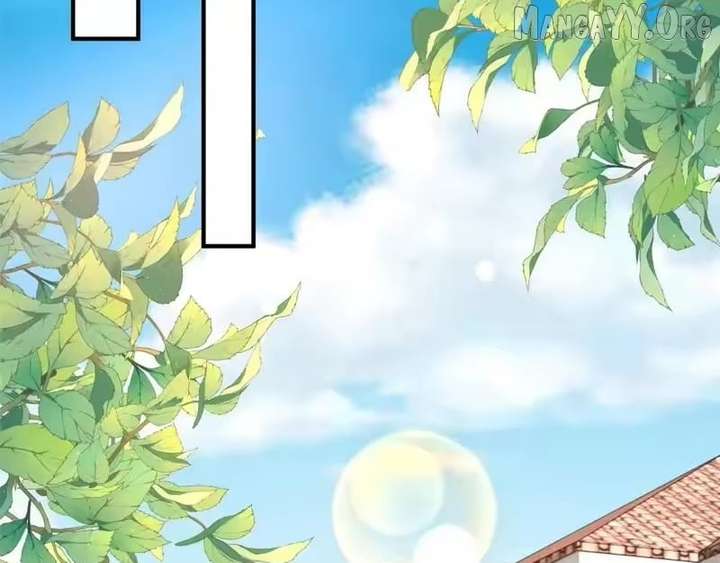 14 (47)