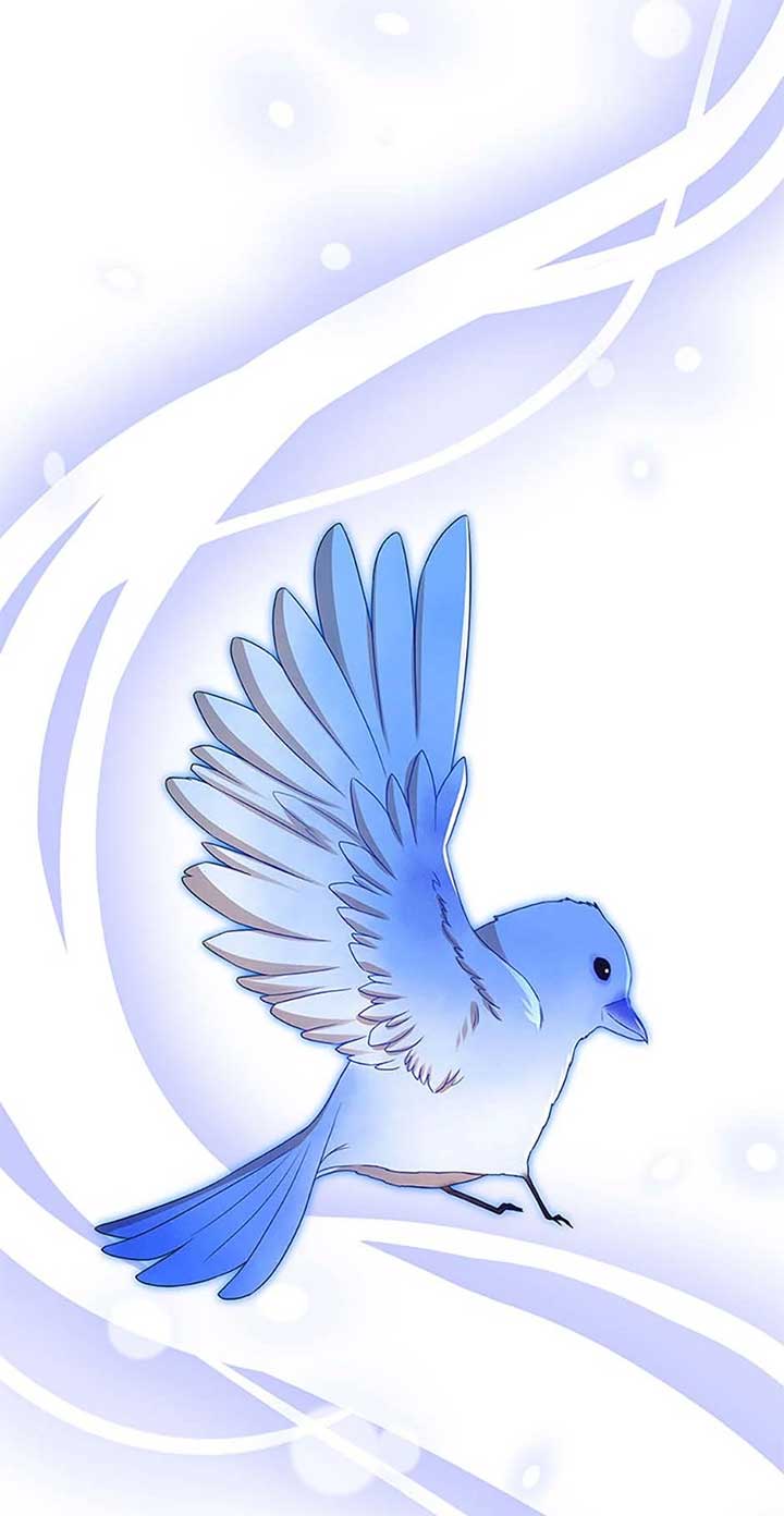 081