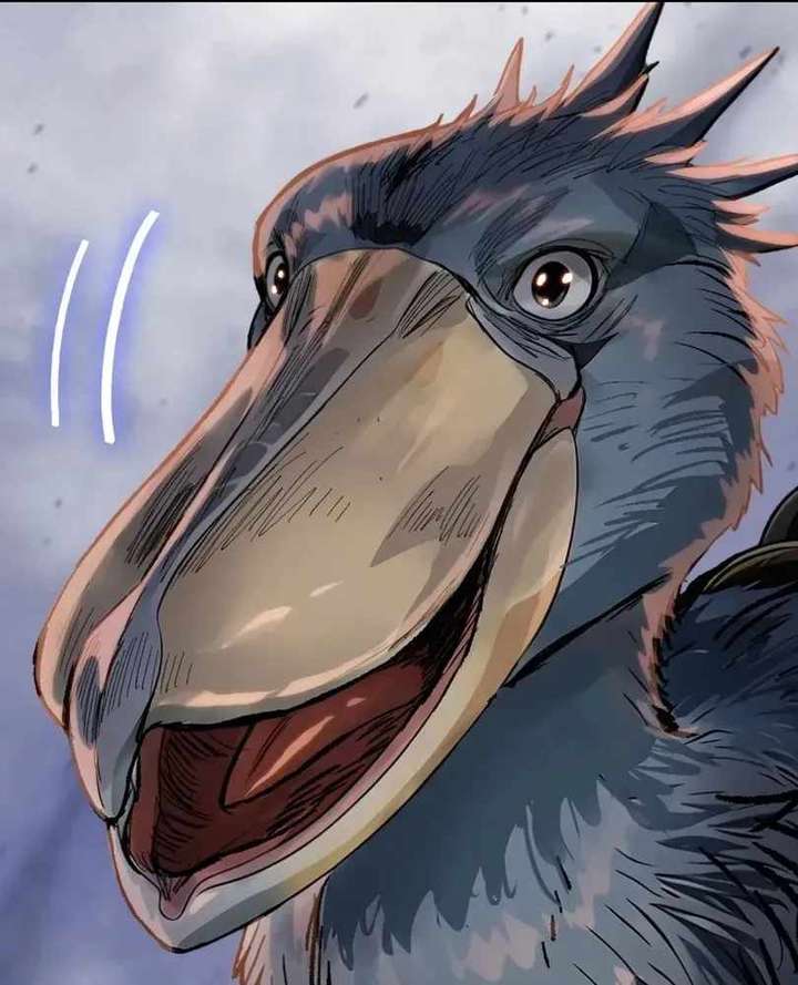 ch 100 13
