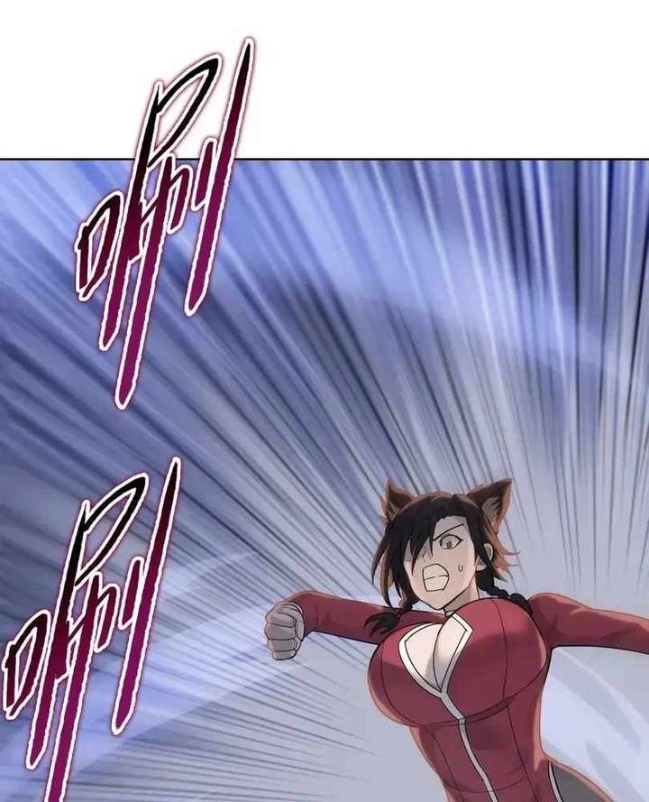ch 101 95