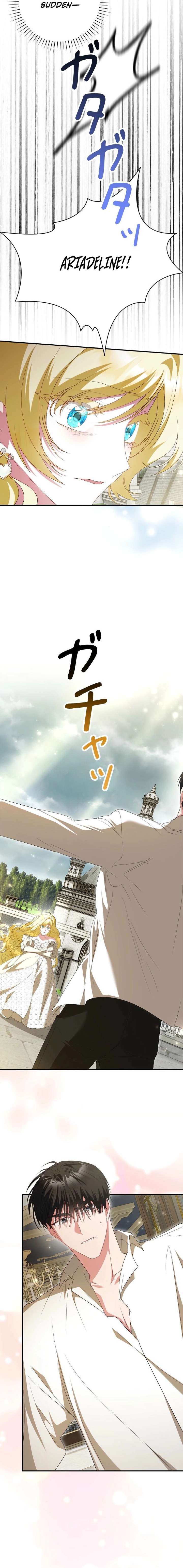 ch 81 13