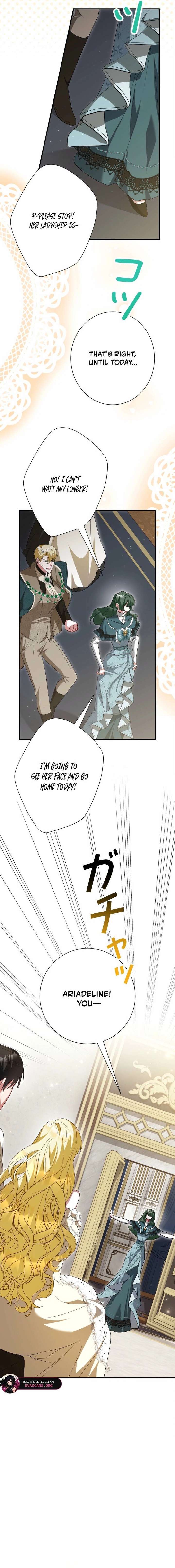 ch 81 19