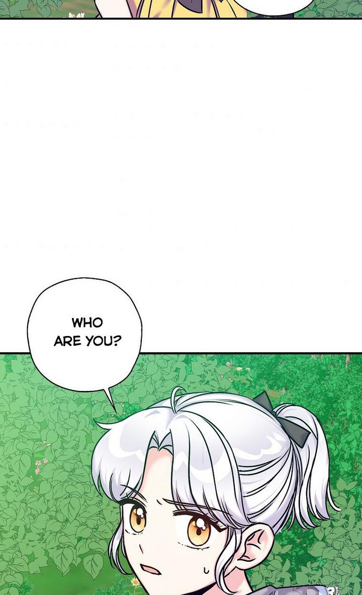 81