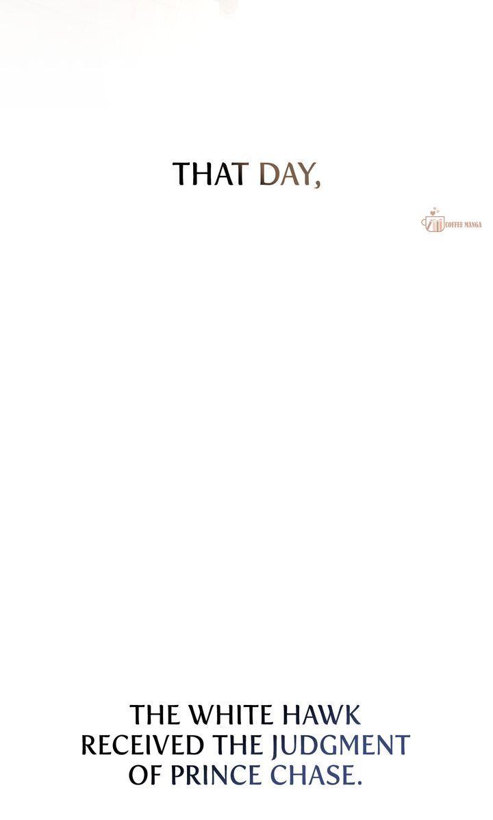 image 43 result