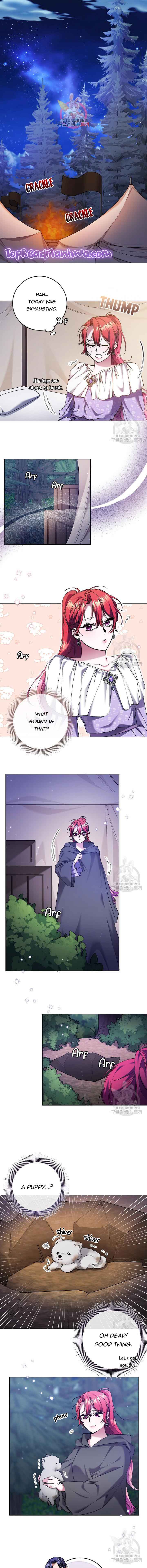 I’m Sorry for Being an Unqualified Empress Chapter 19 44 0