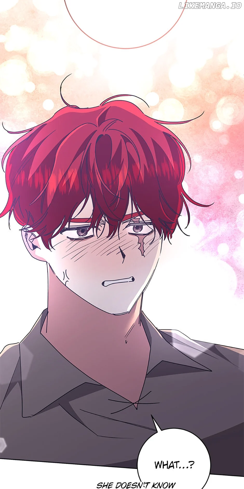 I’m Sorry for Being an Unqualified Empress Chapter 62 271 36